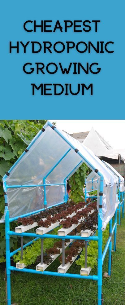 Homemade Hydroponics, Hydroponic Gardening Diy, Indoor Hydroponic Gardening, Hydro Gardening, Hydroponic Gardening System, Home Hydroponics, Hydroponic Grow Systems, Aquaponics Greenhouse, Aquaponics Diy