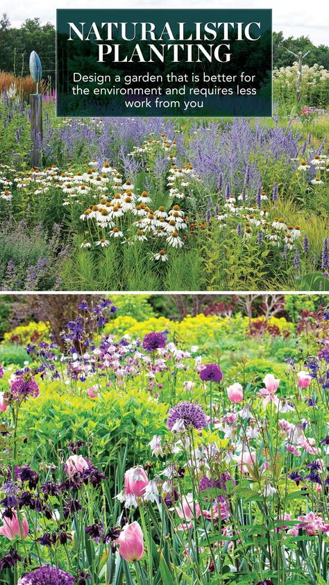 Wilderness Landscaping Ideas, Wildscaping Landscapes, Wild Garden Backyard, Georgia Wildflower Garden, Native Flower Garden Design, Minnesota Yard Landscaping, Wild Landscape Design, Pnw Natural Landscaping, Natural Looking Landscape Ideas