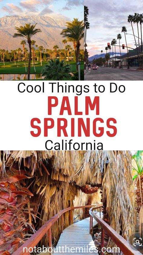 Palm Springs Hiking, Desert Getaway, Palm Springs Outfit, Palm Canyon, Desert Hot Springs, Cool Things To Do, Desert Travel, Palm Spring, California Desert