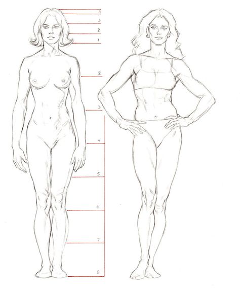 Female Anatomy Reference, Male Figure Drawing, Human Figure Drawing, Human Anatomy Art, Anatomy Sketches, Basic Drawing, Body Anatomy, Female Anatomy, Anatomy Drawing