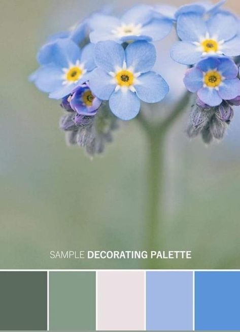 Color Inspiration Colour Palettes, Blue Hyacinth, Yarn Color Combinations, Paint Color Schemes, Color Schemes Colour Palettes, Paint Color Palettes, Color Palate, Print Flower, Color Palette Design