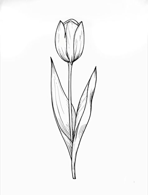 Suculentas Tattoo, Tulips Tattoo Design, Tulip Drawings, Tulip Line Drawing, Embroidery Practice, Tulip Drawing, Tulip Tattoo, Anklet Tattoos, Black Tulips