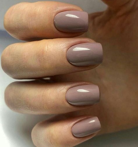 Gray Neutral Nails, Fall Nails 2023 Solid Color, Simple Nails Squoval, Brownish Gray Nails, Fall Neutral Nails Square, Light Taupe Nails, Light Brown Gel Nails, Beige Nails Almond, Fall Acrylic Nails Square