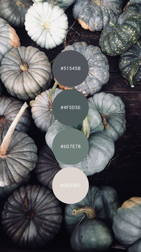 #colourpalette #colorpalette #colour #color #palette #darkteal #pumpkin #autumn #fall #blue-green #blue #green Black Blue And Green Color Scheme, Lichen Color Palette, Green Blue Grey Color Palette, Dark Green Color Combinations, Shades Of Green Color Palette, Blue Green Color Palette, Paint Color Pallets, Teal Color Palette, Art Deco Color