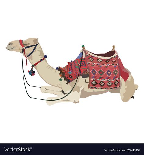 Camel Painting, Transparent Png, Png Images, Saddle, Adobe Illustrator, White Background, Print On Demand, Camel, Vector Images