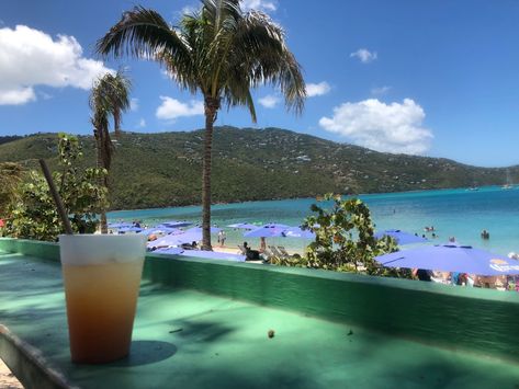 Top 5 Things to Do in St. Thomas - Stuck on the Go Virgin Islands Vacation, St Thomas Virgin Islands, St Thomas Usvi, Saint Thomas, Caribbean Destinations, Best Snorkeling, Beach Honeymoon, Venice Travel, Us Virgin Islands