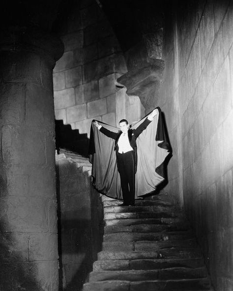 Classic Monster Movies, Victorian Vampire, Goth Subculture, Bela Lugosi, Vampire Goth, Count Dracula, She Wolf, Retro Horror, Classic Horror Movies