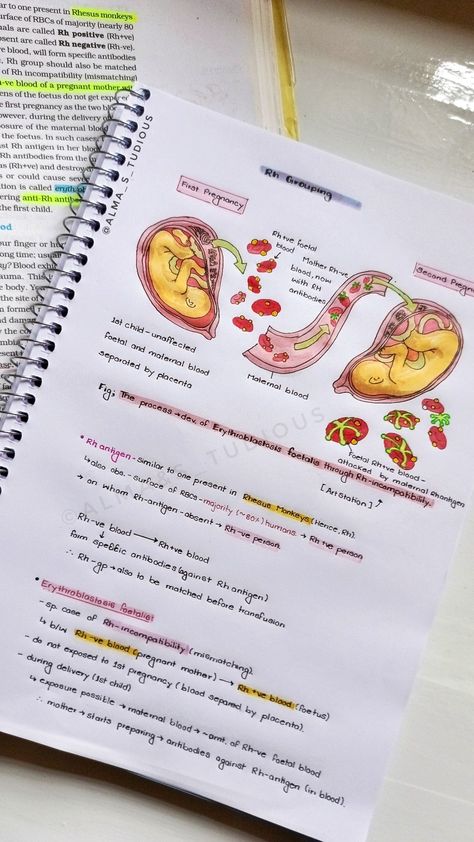 Body Fluids And Circulation Short Notes, Body Fluids And Circulation Notes Neet, Embryology Aesthetic, Body Fluids And Circulation Notes, Matter Notes, Biology Diagrams, Neet Notes, Anatomy Notes, Learn Biology