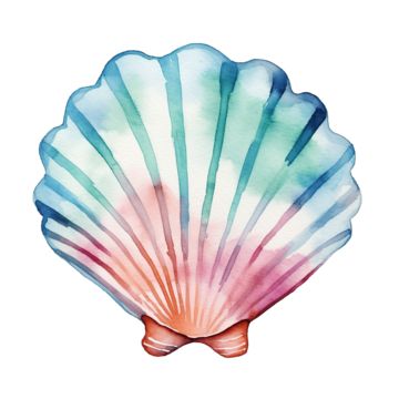 Vintage Png, Sea Side, Scallop Shells, Sea Shells, Shells, Clip Art, Marketing, Quick Saves, Art