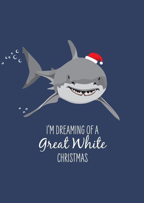 Marine Christmas, All Christmas, Cards With Envelopes, Great White Shark, Great White, Christmas Greeting, Sunshine Coast, Christmas Love, Christmas Greeting Cards