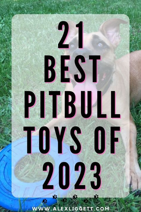 After owning and fostering pitbulls over 8 years, I know which toys stand the test of time and which ones are gonna end up in the trash in 5 minutes. Browse the best toys for pitbulls, tested and approved. Bringing Home Puppy, Dog Essentials Products, Aggressive Pitbull, Time Of Our Lives Pitbull, New Puppy Checklist, Pit Bulls And Parolees, Dog Toys Indestructable, Diy Dog Toys, Best Dog Toys