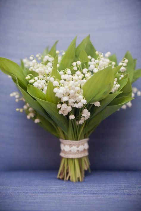 Lily of the valley/snowdrop bouquet Lily Of The Valley Bouquet, Love Lily, Massachusetts Wedding, A Bouquet Of Flowers, Spring Bouquet, Deco Floral, Bouquet Of Flowers, Southern Wedding, Basket Ideas