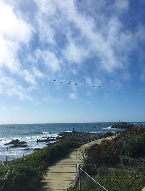 Path through Monterey bay on the Ocean, birds flying, rocks, clear sky Monterrey California Monterey Bay, California State University Monterey Bay, Csu Monterey Bay, Monterey California Aesthetic, Monterey Aesthetic, Monterrey California, Seaside California, Monterey Beach, Mid 30s