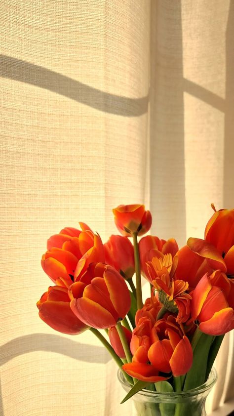 Orange Tulips Aesthetic Wallpaper, Orange Tulips Aesthetic, Orange Tulips Wallpaper, Orange Mood Board, Orange Flowers Wallpaper, Tulips Orange, Orange Tulips, Boquette Flowers, Nothing But Flowers