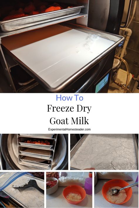 Learn how to freeze dry goat milk as well as other types of milk. Plus learn how to use it and how to store it long term. #howtofreezedrygoatmilk #freezedrygoatmilk #freezedrymilk #freezedryingfood #freezedrystrawberries #freezedryerrecipes Types Of Milk, Goat Milk Soap Recipe, Harvest Right Freeze Dryer, Freeze Dryer, Tiny Farm, Grape Nuts, Freezable Meals, Cereal Bar, Dried Corn