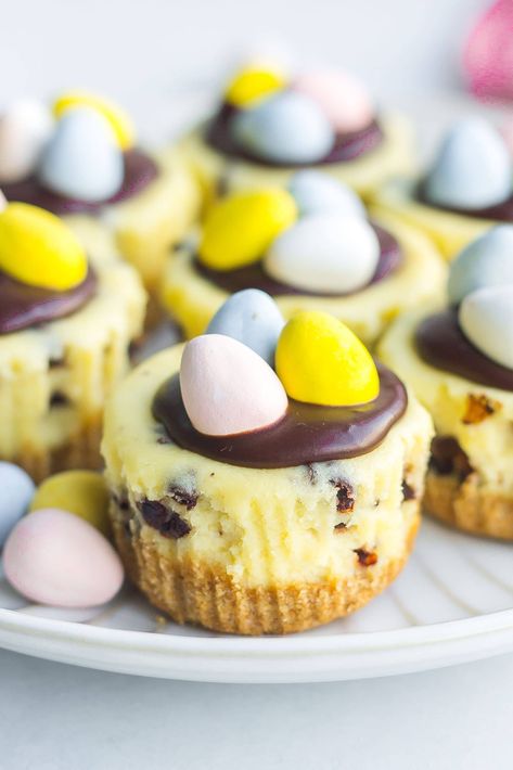 Fun Rice Krispie Treats, Mini Lemon Cheesecakes, Easter Cheesecake, Mini Oreo Cheesecake, Mini Cheesecake Bites, Homemade Toffee, Chocolate Chip Cheesecake, Make Ahead Desserts, How To Make Cheesecake