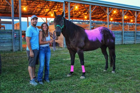 Gender Reveal Horse, Gender Reveal Ideas With Horses, Rodeo Gender Reveal Ideas, Horse Gender Reveal Ideas, Horse Gender Reveal, Farm Gender Reveal Ideas, Western Gender Reveal Ideas, Country Gender Reveal, Second Pregnancy Announcements