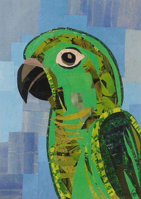 Green Conure collage by Megan Coyle Green Conure, Magazine Collages, Magazine Cutouts, Collage Project, Magazine Pages, School Craft, Magazine Collage, Collage Making, Collage Artists