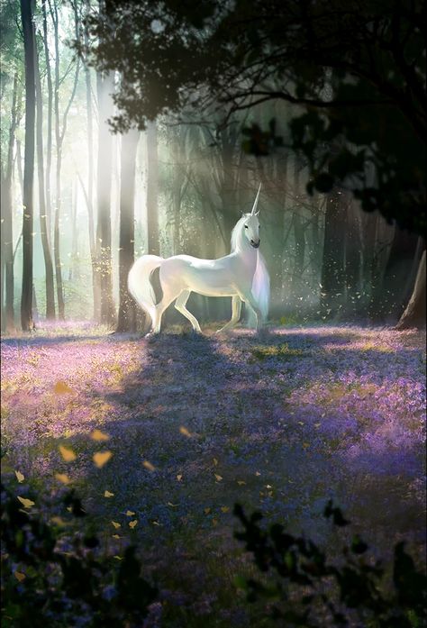 Unicorn (Legends) - The Elder Scrolls Wiki Elder Scrolls Legends, Unicorn Artwork, Unicorn And Fairies, Pegasus Unicorn, Magical Horses, Unicorn Pictures, Fantasy Horses, The Last Unicorn, Creatures Art