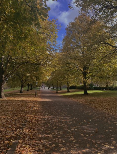 Oxford University Autumn, St Marys College Durham, University Of Central Lancashire, University Of Adelaide, Durham University, St Mary, Durham, University, In This Moment