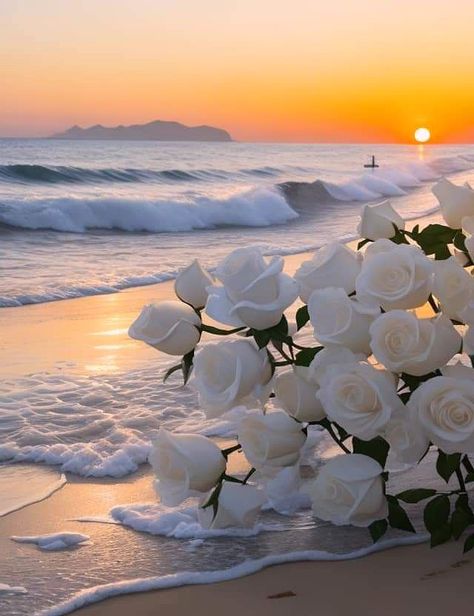 White Roses Aesthetic Wallpaper, Aesthetic White Roses, White Asthetics Wallpaper, Birthday Wishes Reply, Best Nature Wallpapers, Iphone Wallpaper Landscape, Flowers Photography Wallpaper, Simple Phone Wallpapers, Nothing But Flowers