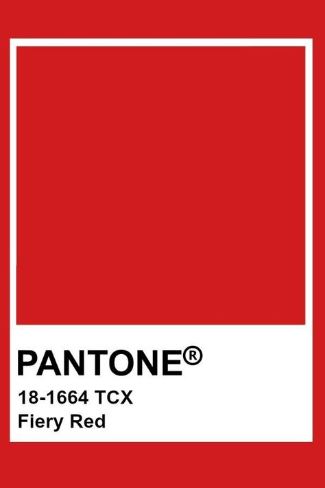 Fashion's Top 7 Color Trends from the Spring/Summer 2021 Runways — ZEITGEIST Pantone Tcx Orange, Pantone Red Orange, Pantone Red Shades, Tcx Pantone, Work Moodboard, Pink Pantone, Dance Nation, Pantone Tcx, Pantone Trends