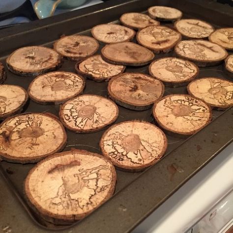 Plywood Plank Flooring, Wood Slice Crafts, Woodburning Projects, Tree Cookies, Wood Burning Crafts, Wood Disc, Wood Burning Patterns, Wood Burning Art, Wood Slices