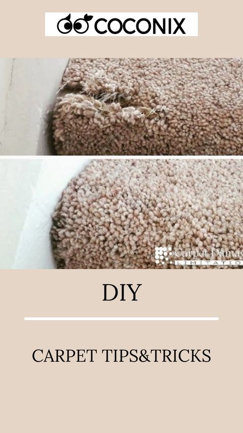 Fix Carpet From Cat, Fixing Carpet From Cat, How To Repair Carpet Holes, Carpet Patch Repair, Diy Carpet Repair, How To Fix Carpet Torn Up By Dogs, Carpet Wrinkles, How To Patch Carpet, Carpet Replacement