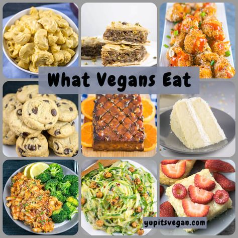 A brief introduction to All Vegan Food. Vegan Food List, 10 000 Followers, Organic Breakfast, Egg Replacement, Vegan Substitutes, Edible Gardens, Write An Email, Food Infographic, Food Info