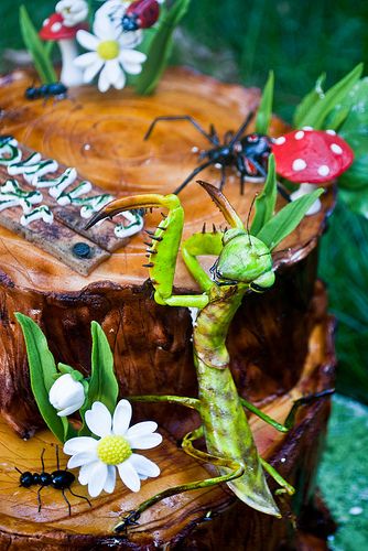 Insect Cake, Heath Cake, Bug Birthday Party Ideas, Bug Wedding, Snake Cake, Snake Cakes, 6 Birthday Party, Bug Birthday Party, Bug Cake