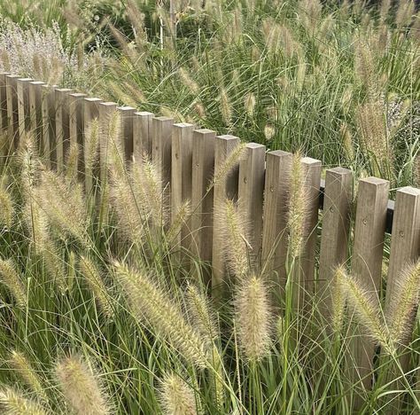 Organic Fence Design, Raw Wood Fence, Timber Fence Australia, Scandinavian Fence, Minimal Fence, Sleeper Fence, Coastal Fence, Bocce Court Backyard, Country Fences