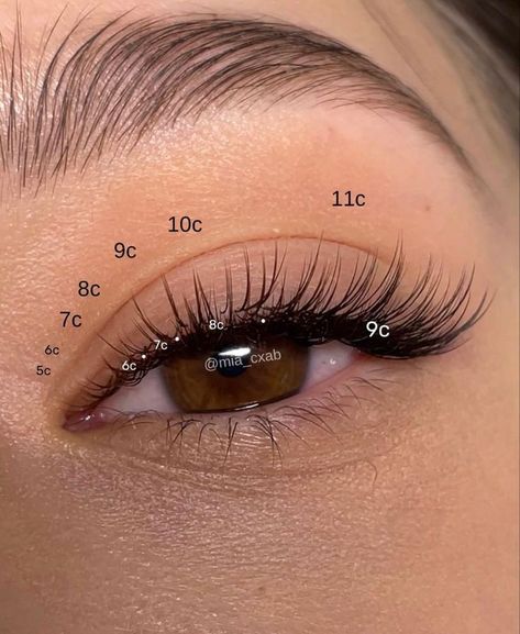 Natural Fake Eyelashes, Lash Maps, Lash Map, Lashes Fake Eyelashes, Lash Mapping, Perfect Eyelashes, Pretty Lashes, Natural Eyelash Extensions, Eyelash Extentions