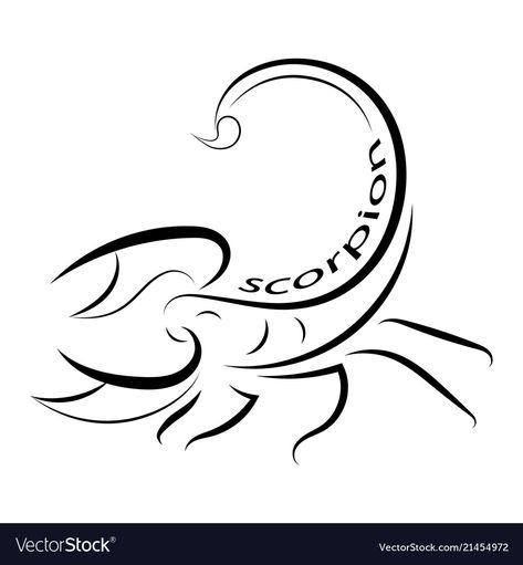 Simple Scorpion Tattoo, Scorpio Zodiac Tattoos, Scorpio Art, Scorpio Tattoo, Pisces And Scorpio, Scorpion Tattoo, Zodiac Tattoos, Symbolic Tattoos, Black And White Pictures