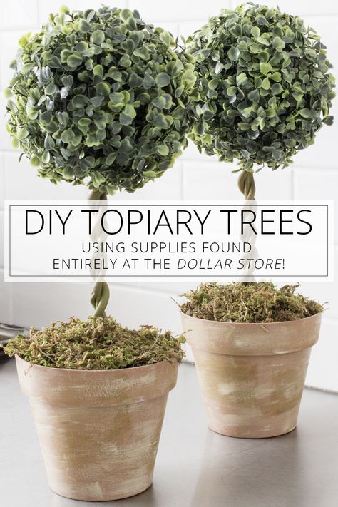 Diy Topiary Trees, Diy Topiary, Diy Home Decor For Apartments, Diy Event, Topiary Trees, Cactus Decor, Garden Types, Diy Dollar Store Crafts, Kew Gardens