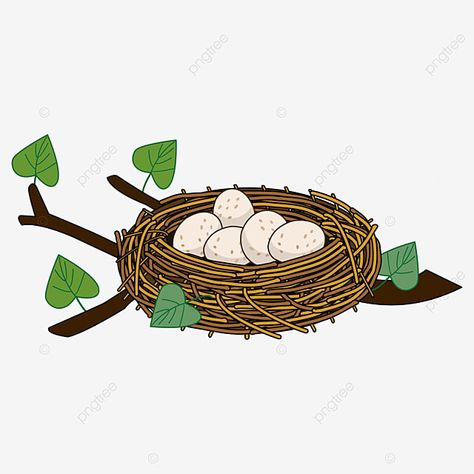 bird nest,bird's nest on branch,nest,clipart,bird egg,leaf,branches and stems,a few bird eggs Nest Drawing, Nest Illustration, Birds In A Nest, Robin Drawing, Nest Images, Bunny Coloring, Egg Pictures, Hindi Alphabet, Nest Art