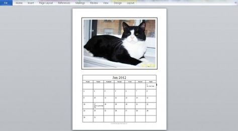 How to Make a Photo Calendar - Easy step by step instructions | HubPages Diy Photo Calendar Ideas, How To Make Calendar, Diy Calendar Photo, Photo Calendar Diy, Calendar Photo, Family Christmas Card Photos, Make A Calendar, Cat Calendar, Diy Calendar