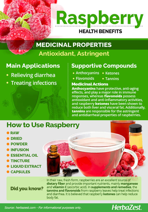 Raspberry Health Benefits, Raspberry Benefits, Raspberry Leaf Tea, Raspberry Tea, Tea Health Benefits, Visceral Fat, Raspberry Ketones, Business Page, Lifestyle Business