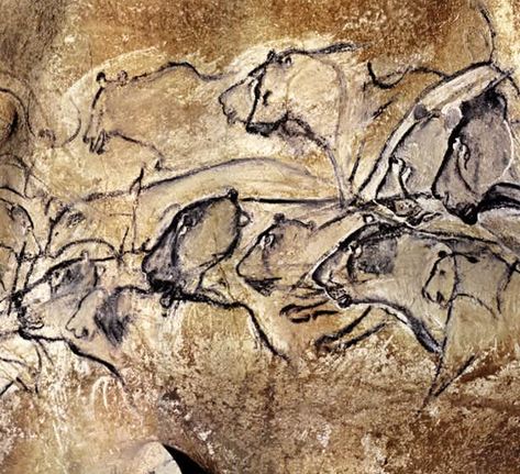 5Zsfach Werner Herzog Film, Chauvet Cave, Prehistoric Cave Paintings, Paleolithic Art, Stone Age Art, Cave Painting, Animal Footprints, Ancient Drawings, Cave Drawings