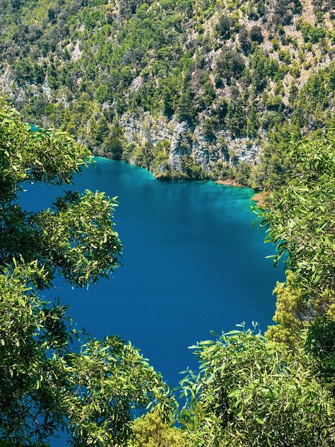 Mount Gambier is a town that should not be missed if you’re travelling across the South Australia and Victoria border. The town’s deep blue lakes, mysterious sinkholes, and volcanoes make it a true gem. Dive into our unforgettable 48-hour itinerary of Mount Gambier! Mount Gambier South Australia, Mount Gambier, Australia Bucket List, Holiday 2024, Sunken Garden, Caravan Park, Blue Lake, A Town, Crystal Clear Water