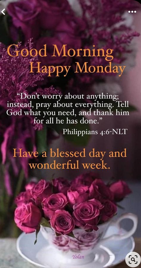 Monday Morning Greetings, Monday Morning Blessing, Monday Morning Inspiration, Have A Blessed Week, Happy Monday Quotes, Happy Monday Morning, Good Monday Morning, Blessed Week, Good Morning Happy Monday