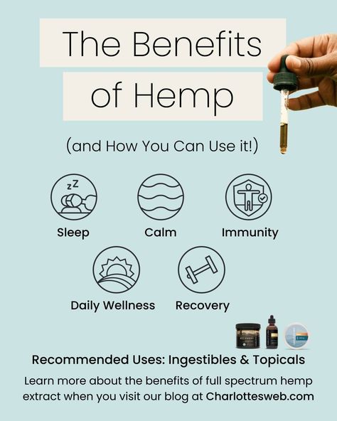 Have you heard about the many benefits of hemp? One of the major benefits of full-spectrum hemp extract is that it has an adaptogenic effect, meaning that daily use could support the body in a wide variety of ways. 

Head on over to Charlottesweb.com to learn all about hemp extract benefits and how it can support you and your wellness.

hemp extract | hemp extract benefits | hemp benefits | hemp | wellness | wellness ideas Hemp Benefits, Hemp Oil Benefits, Wellness Ideas, Cbd Hemp, Sleep Pattern, Muscle Recovery, Hemp Seeds, Carrier Oils, Hemp Oil