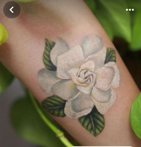 Gardenia Tattoo, Anklet Tattoos For Women, Tattoo Pieces, Cardinal Tattoos, White Rose Tattoos, Gardenia Flower, Anklet Tattoos, Foot Tattoos, Body Modifications