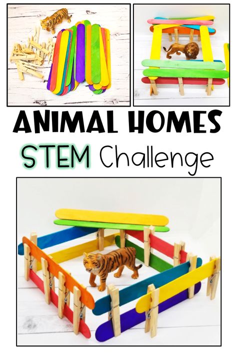 Colorful popsicle sticks, plastic animal figures and clothes pins are all shown.  There is a picture of an animal home made from the materials with a plastic tiger inside. Home Animals Preschool, Zoo Theme For Preschoolers, Animals And Their Homes Craft, Preschool Zoo Animal Activities, Savannah Animals Preschool, Zoo Animals Kindergarten Activities, Animals And Habitats Activities, Animal Families Preschool, Zoo For Preschool