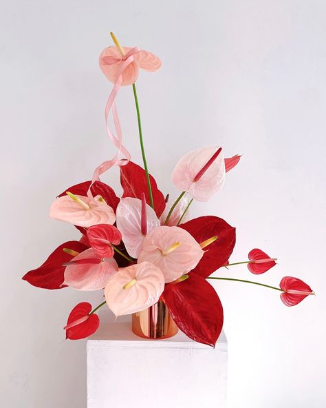 Anthurium Cluster Centrepiece ♥️ Which one your favorite 1, 2 or 3? Anthurium Floral Arrangements, Red Anthurium Arrangement, Anthurium Wedding Bouquet, Anthurium Arrangement, Anthurium Bouquet, Flower Board, Anthurium Flower, Garden Weddings, Vase Arrangements