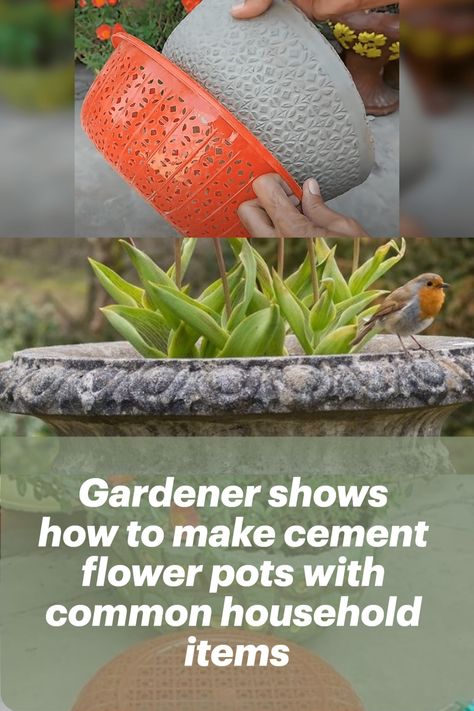 #how #to #make #cement #flower #pots Diy Cement Flower Pots Outdoor, Making Cement Planters, How To Make Concrete Pots, Concrete Flower Pots Diy Cement, How To Make Pots For Plants Diy, How To Make A Flower Pot, Making Cement Pots, Concrete Pots Diy Planters, Cement Flower Pots Diy How To Make