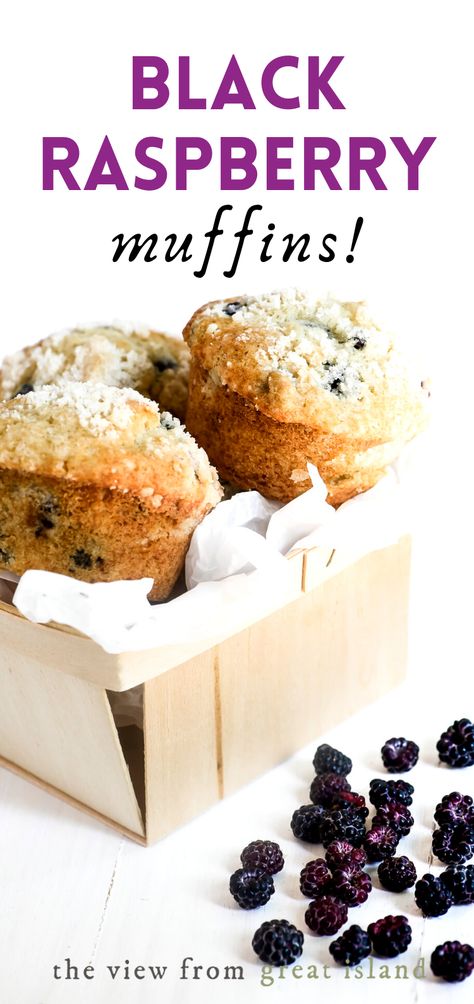 Perfect Black Raspberry Muffins ~ the flavor of black raspberries (black caps) is transcendent, make these moist high rise muffins and you won't regret it! #easy #recipe #muffins #blackraspberry #berries #breakfast #moist #onebowl #baking #wild #blackcaps #raspberry #summer #foraging Black Raspberry Muffins, Summer Foraging, Black Raspberry Recipes, Berries Breakfast, Raspberry Muffin Recipes, Black Raspberries, The View From Great Island, Blackberry Recipes, Black Caps