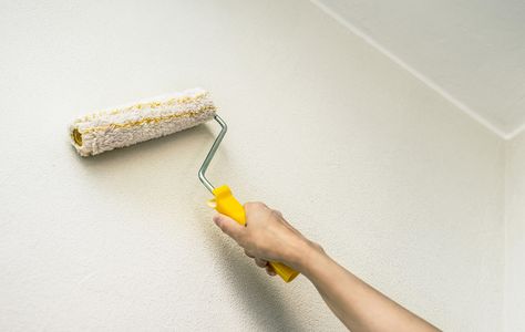 Before You Begin: From start to finish, we're here to help.  Get expert advice, find the right colors, and learn how to do every step of the painting or staining process. Wall Primer, Storing Paint, Roller Brush, Paint Primer, Paint Roller, Painting Services, Types Of Painting, Diy Home Improvement, Room Paint