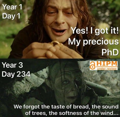 Phd Funny Quotes, Phd Memes, Psychology Wallpaper, Phd Humor, Biology Memes, Lab Humor, Psychology Humor, Lotr Funny, Phd Life