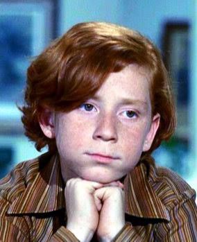 Danny Bonaduce, The Partridge Family Danny Bonaduce, The Partridge Family, Tv Photo, Game Shows, Famous Kids, Talk Shows, Vintage Television, Partridge Family, Classic Television