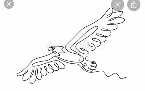 Flying Eagle Drawing, Drawing Of Eagle, Hawk Flying, Bird Vector, Hawk Bird, Eagle Drawing, Flying Eagle, One Line Drawing, Bird Illustration